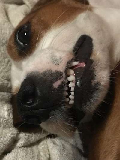 Fotochallenge Nr.122-Beitrag-Bild