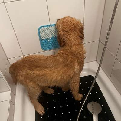 Baden/abduschen-Beitrag-Bild