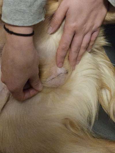 Schwarzer Strich am Hodensack-Beitrag-Bild