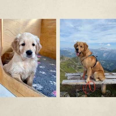 Ach, wie schnell die Zeit vergeht-Beitrag-Bild