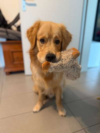 Nicht ganz alltägliche Hundenamen.
Wie kreativ wart ihr?-Beitrag-Bild