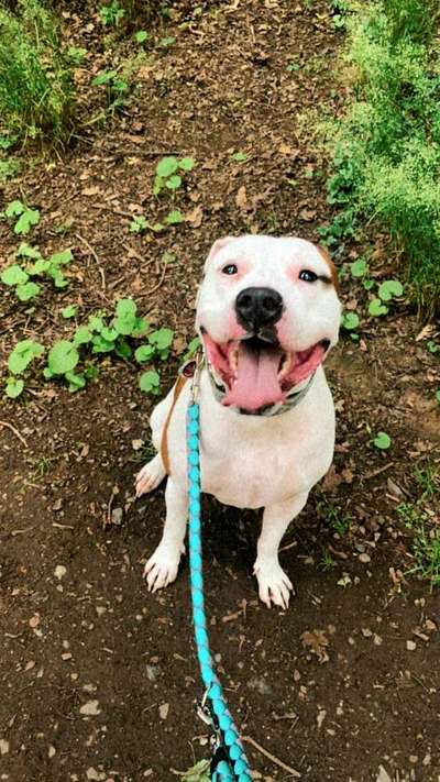 Fotochallange Nr. 57     PORTRÄT.   Beendet!!!!!!!!-Beitrag-Bild