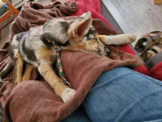 Fotochallange Nummer 5-Beitrag-Bild