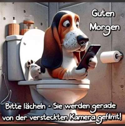 Hunde Memes-Beitrag-Bild