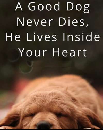 richtiger Zeitpunkt zum gehen lassen-Beitrag-Bild