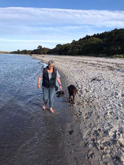 Dogorama Photo Challenge - Tierischer Urlaub-Beitrag-Bild