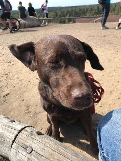 32. Collagen Challenge - eure liebsten gestellten Fotos-Beitrag-Bild