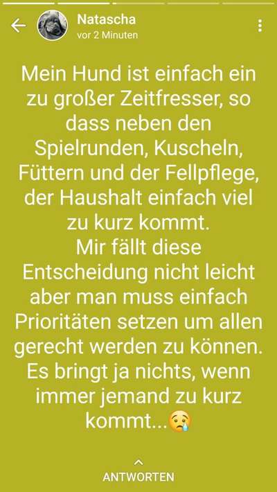 Hunde Memes-Beitrag-Bild