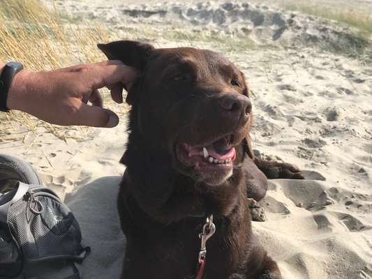 FOTO-Challenge  NR. 91: Die pure Entspannung-Beitrag-Bild