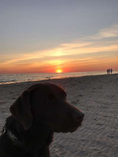 14. Collagen Challenge- Sonnenaufgang & -Untergang-Beitrag-Bild