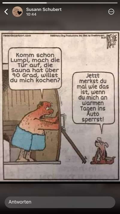 Hunde Memes-Beitrag-Bild