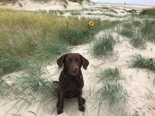 Theos  Fotochallenge Nummer 2-Beitrag-Bild