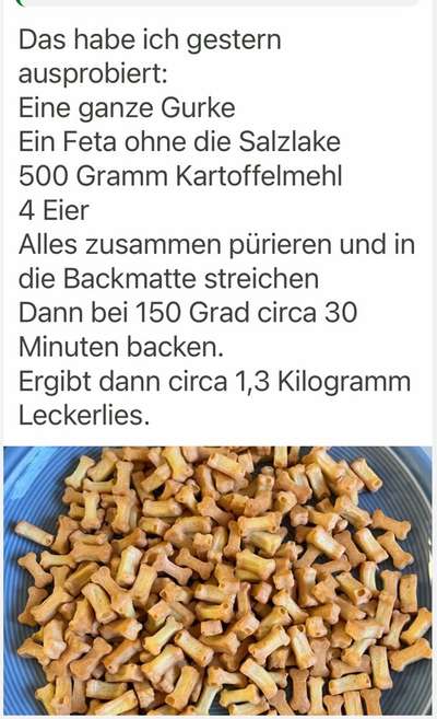 Allergiker-Beitrag-Bild