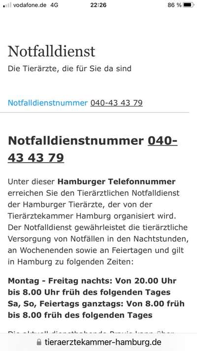 Dicke Schnauze-Beitrag-Bild