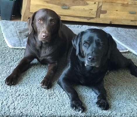 Gibt es Namens-Verwandte-Beitrag-Bild