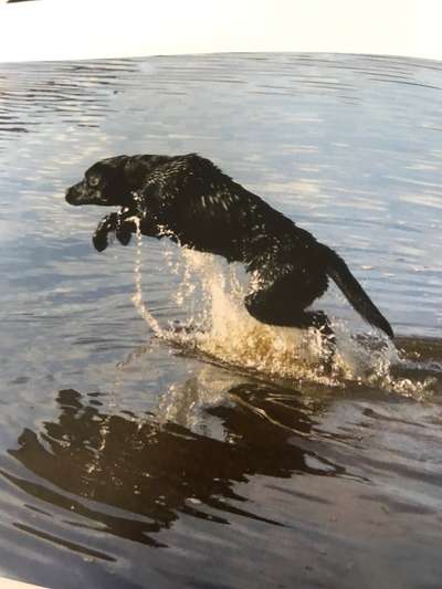 35. Handy Foto Challenge - Das nasse Element-Beitrag-Bild