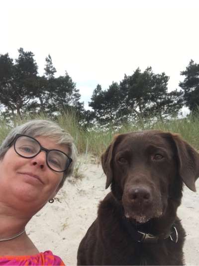 21. Collage Challenge 
Du und dein Hund-Beitrag-Bild