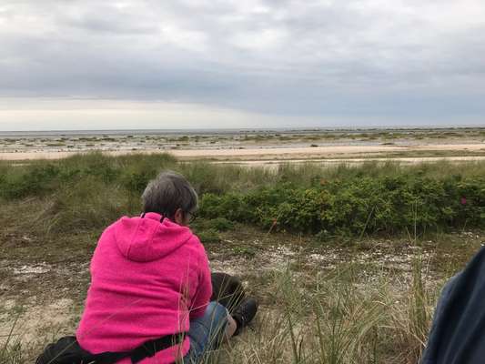 Freundschaftsanfragen-Beitrag-Bild