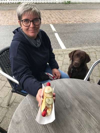 21. Collage Challenge 
Du und dein Hund-Beitrag-Bild