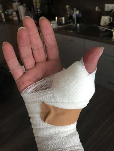 Wer kennt dieses Tier?-Beitrag-Bild