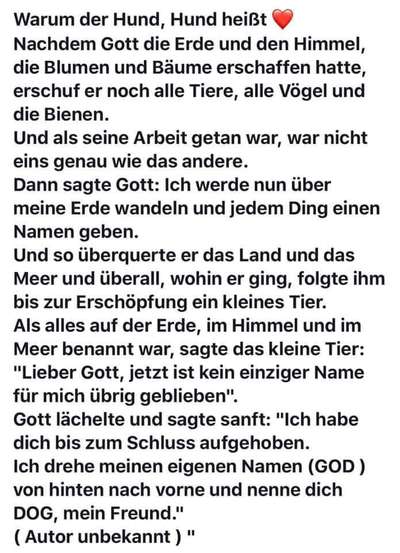 Hunde Memes-Beitrag-Bild