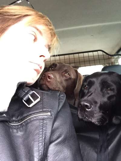 Lustige Bilder-Beitrag-Bild