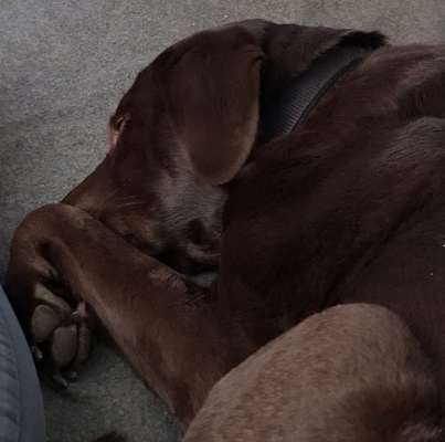 Relaxen im bett-Beitrag-Bild