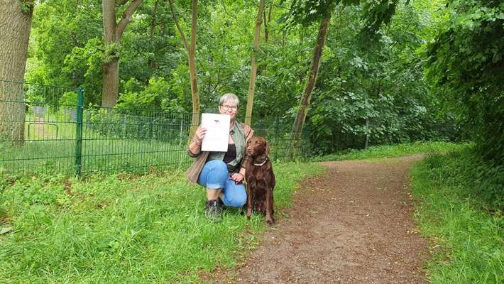 21. Collage Challenge 
Du und dein Hund-Beitrag-Bild