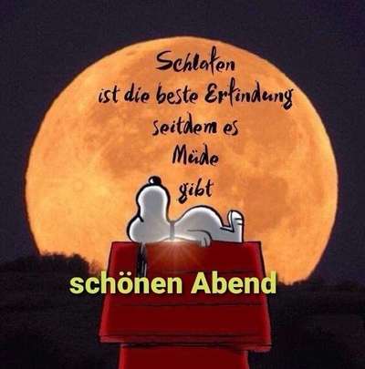 Hunde Memes-Beitrag-Bild