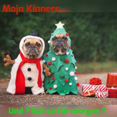 Hunde Memes-Beitrag-Bild