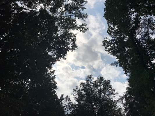 Die wunderschöne Welt mit Hund.-Beitrag-Bild