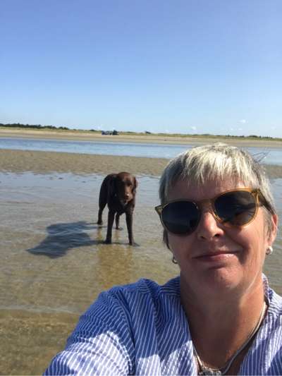 21. Collage Challenge 
Du und dein Hund-Beitrag-Bild