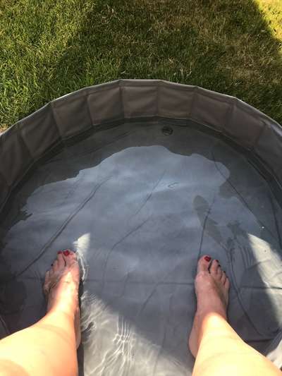 Schwimmen-Beitrag-Bild