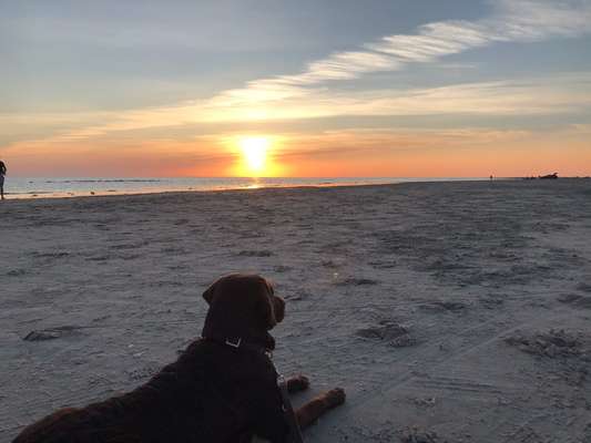 14. Collagen Challenge- Sonnenaufgang & -Untergang-Beitrag-Bild