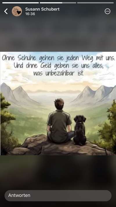 Hunde Memes-Beitrag-Bild