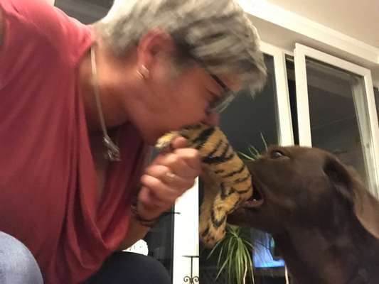 Lustige Bilder-Beitrag-Bild