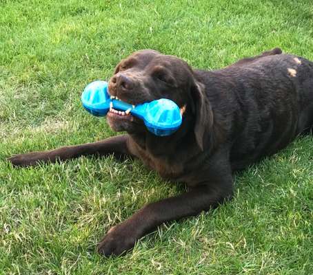 Handy-foto Challange nr. 11-Beitrag-Bild