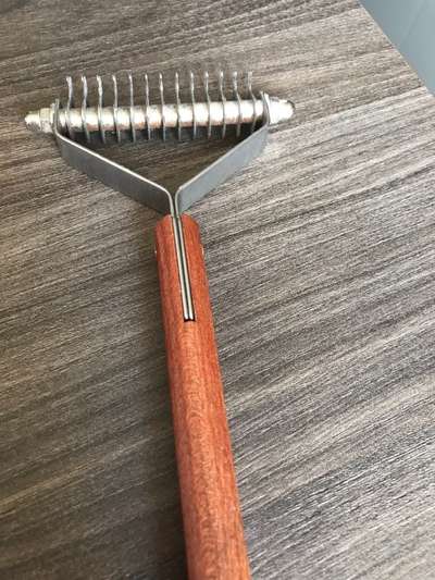 Labradorfans-Beitrag-Bild