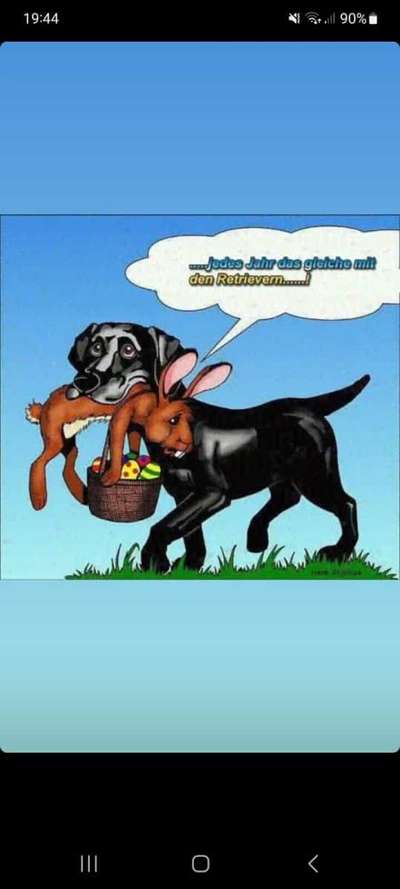 Freundschaftsanfragen-Beitrag-Bild