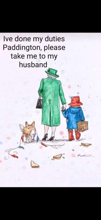 Hunde Memes-Beitrag-Bild