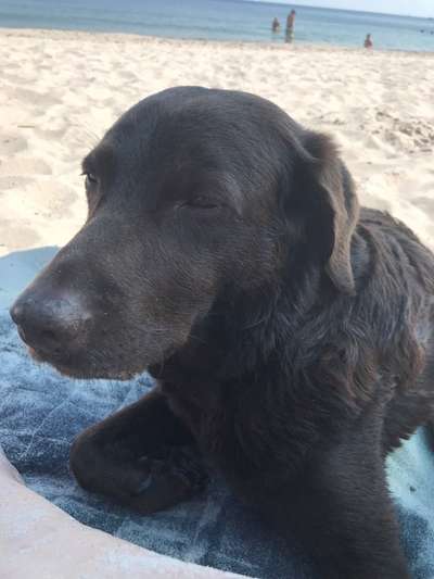 Moviestar-Pics!-Beitrag-Bild