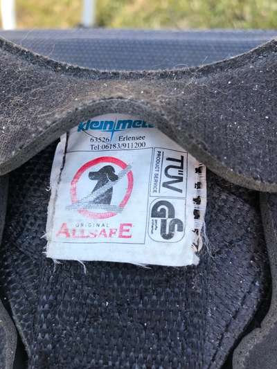 Hund auf Rückbank in Hundebox?-Beitrag-Bild