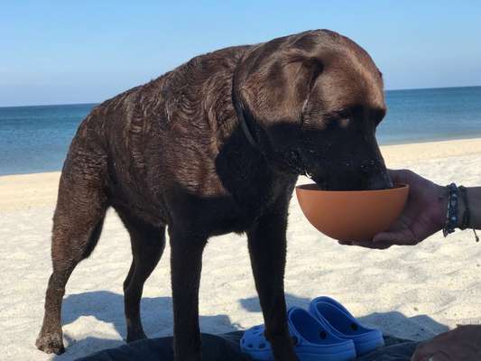 32. Collagen Challenge - eure liebsten gestellten Fotos-Beitrag-Bild