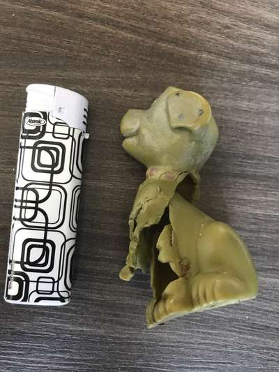 Magenprobleme beim Hund-Beitrag-Bild