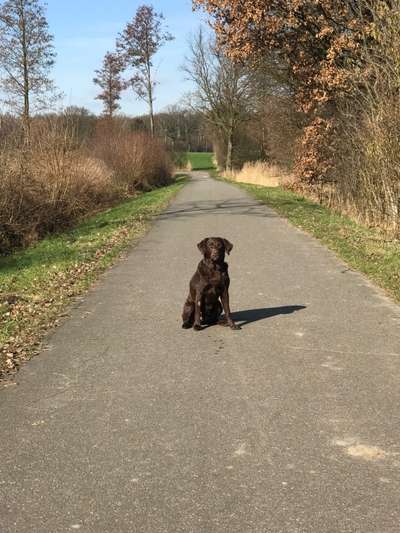 32. Collagen Challenge - eure liebsten gestellten Fotos-Beitrag-Bild