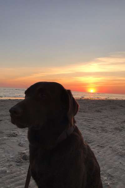 Sonnenaufgänge oder - untergänge-Beitrag-Bild