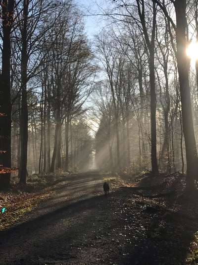 14. Collagen Challenge- Sonnenaufgang & -Untergang-Beitrag-Bild