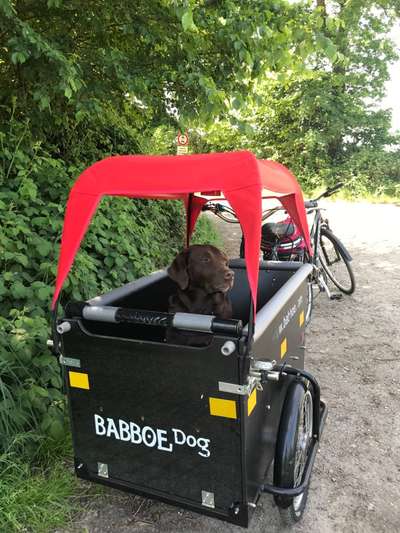 Unterwegs sein-Beitrag-Bild