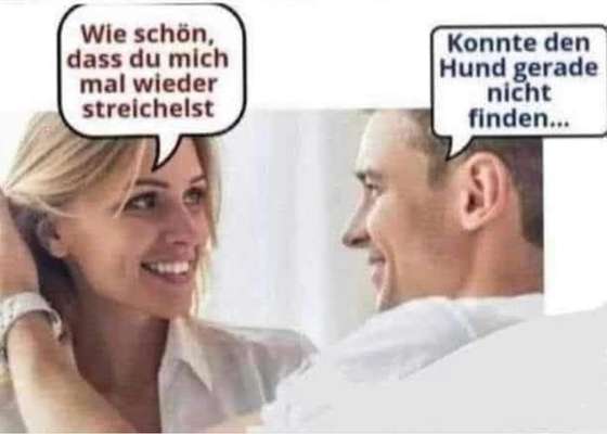 Hunde Memes-Beitrag-Bild