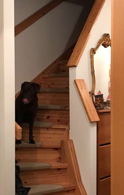 21. Handy-Foto-Challenge-Beitrag-Bild